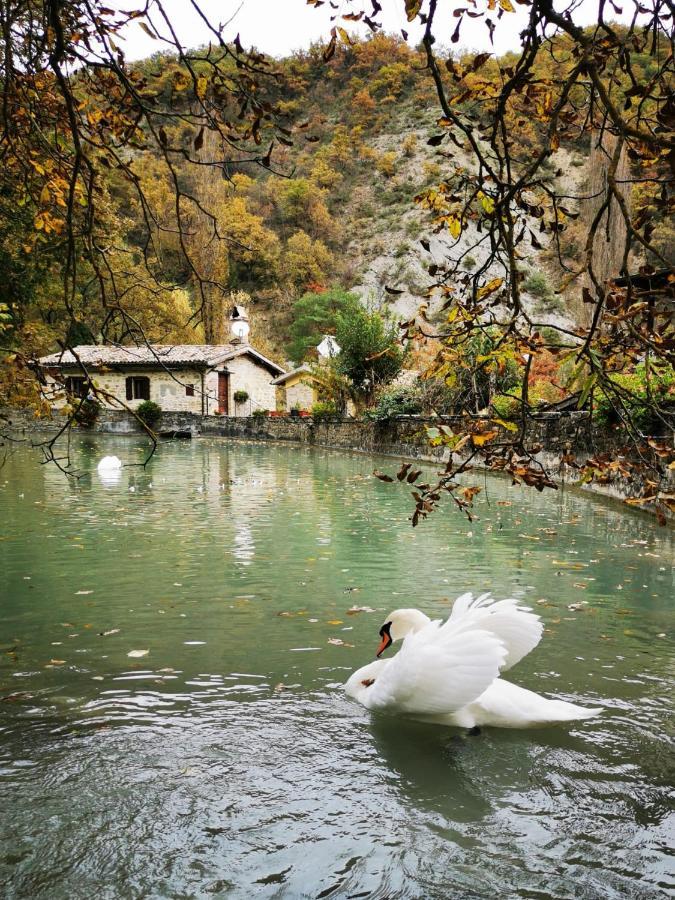 Pianpieve Nature & Relax Apartments Assisi Buitenkant foto