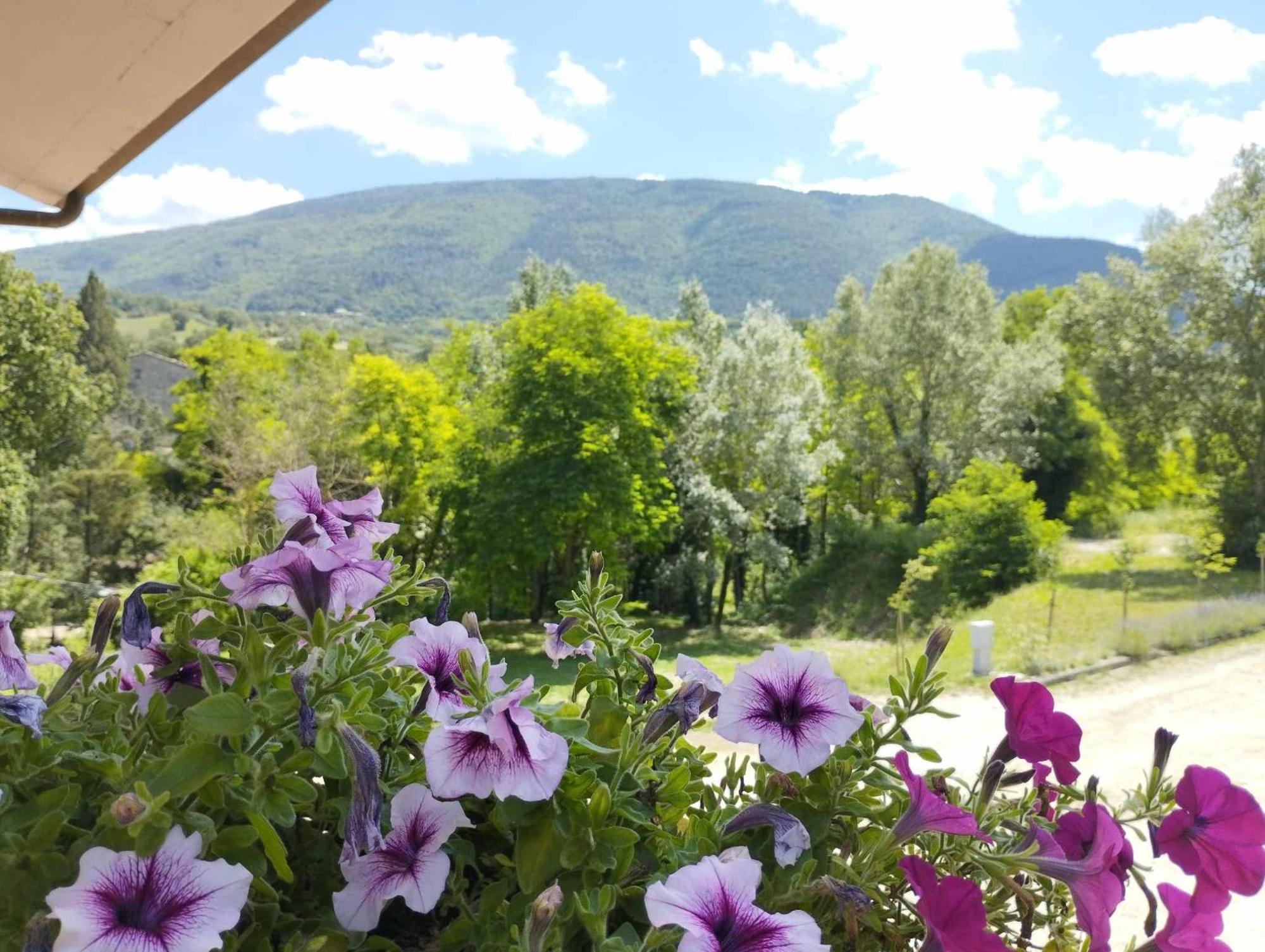 Pianpieve Nature & Relax Apartments Assisi Buitenkant foto