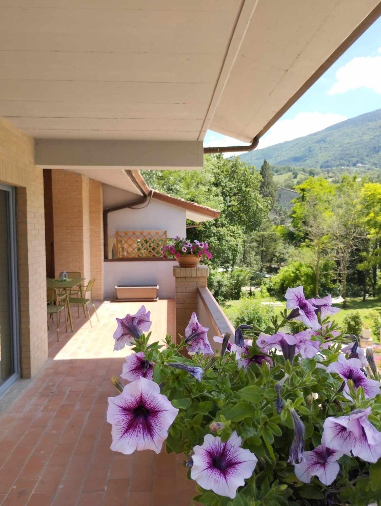 Pianpieve Nature & Relax Apartments Assisi Buitenkant foto